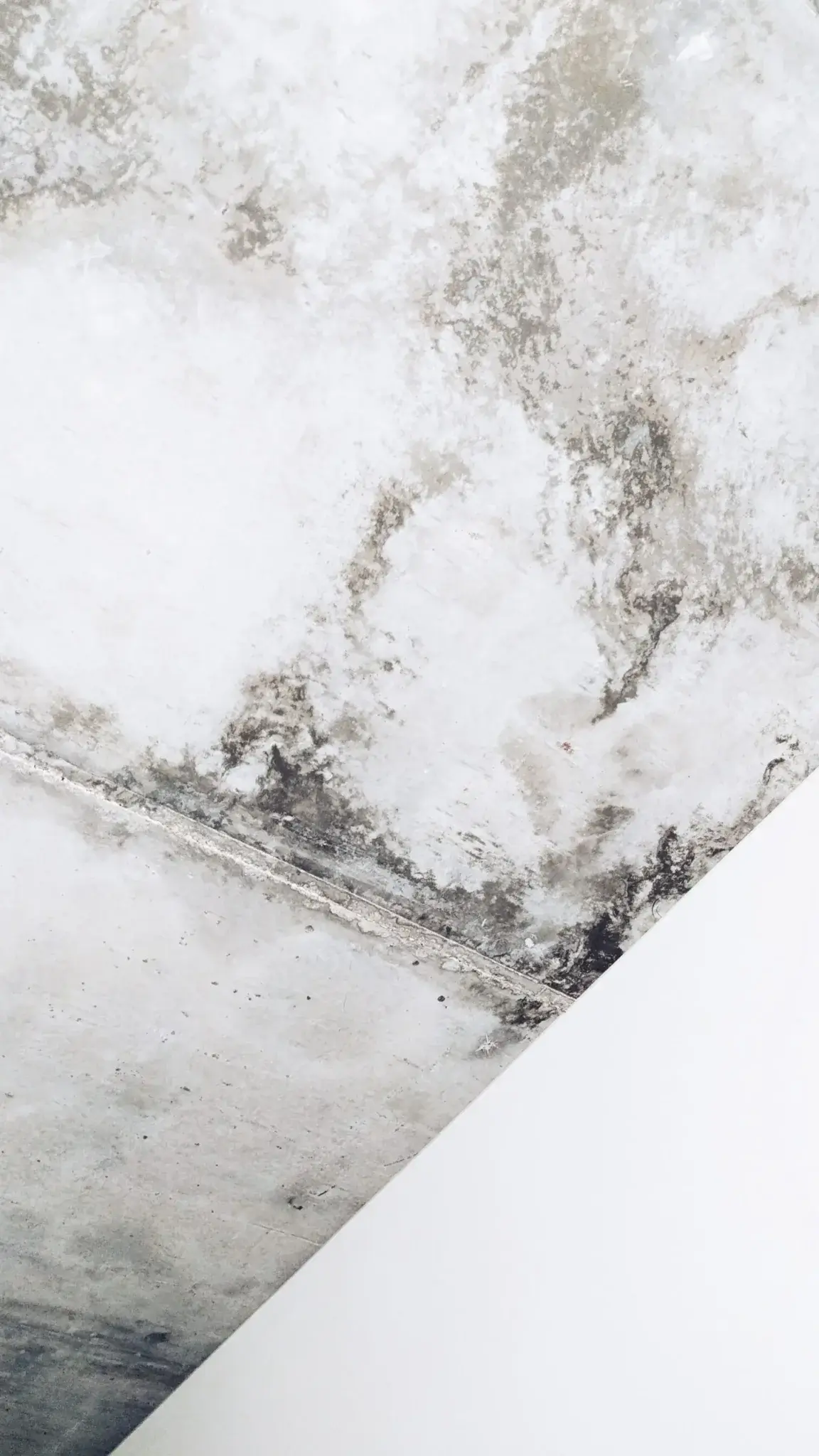 A close up of the roof of a house with black mold.